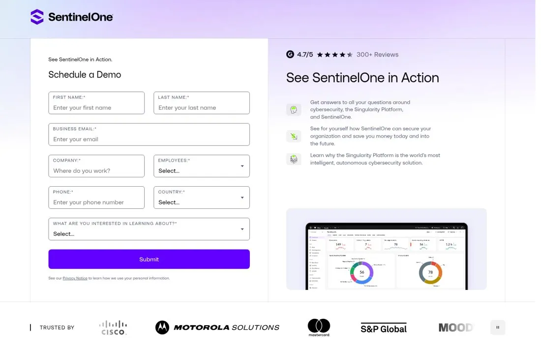 Show the product next to the form